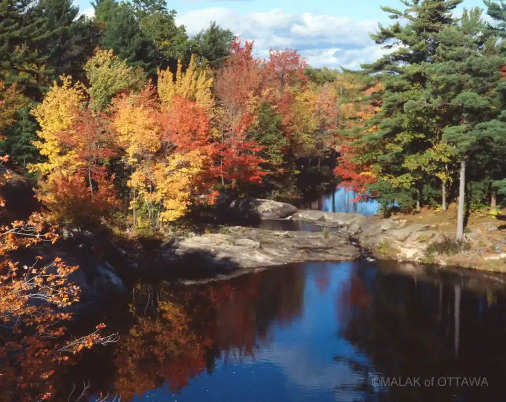 Autumn trees with colorful leaves reflecting in a river at Malak of Ottawa.