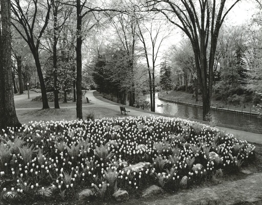 Beautiful park with blooming flowers and a peaceful river view.