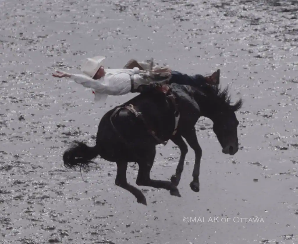 Horse and rider falling into water during equestrian event.