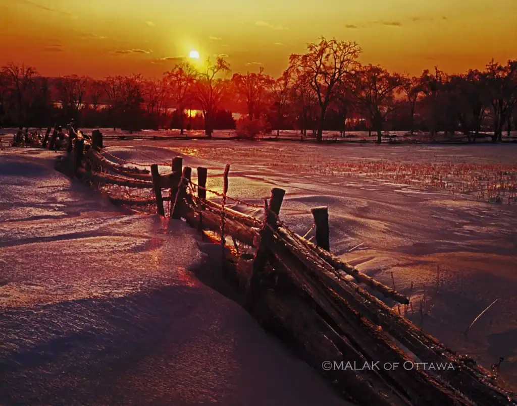 Snowy winter scene with a sunset, trees, and a rustic wooden fence.