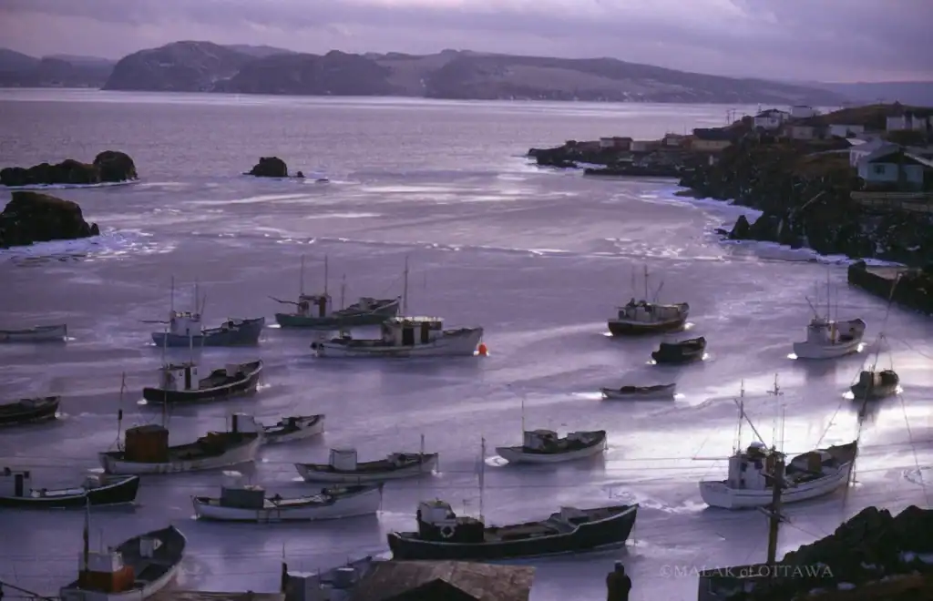 Fishing boats anchored in Ottawa harbor with calm waters and scenic background.