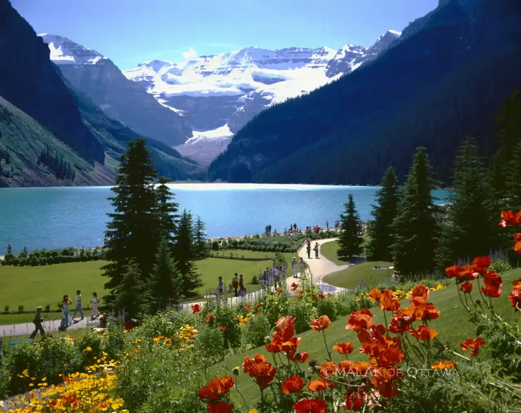 Scenic view of a mountain lake with colorful flowers and visitors.