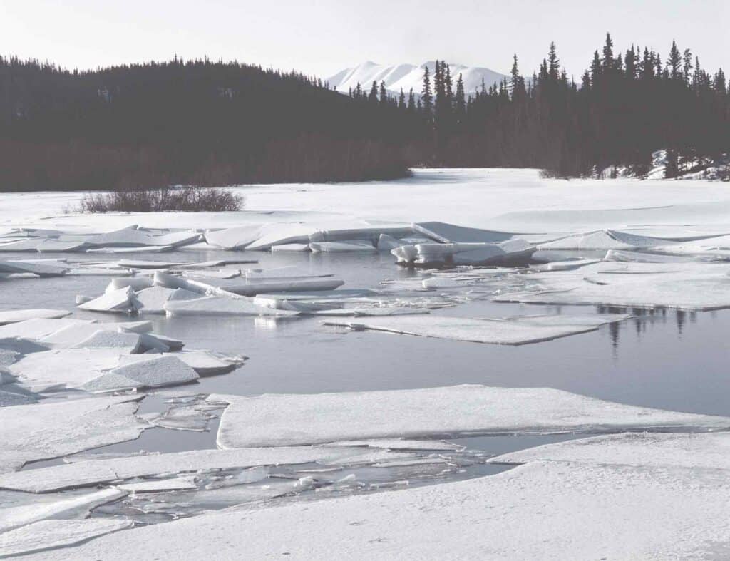 Icy Yukon River scene with floating ice and snow-covered landscape in spring.