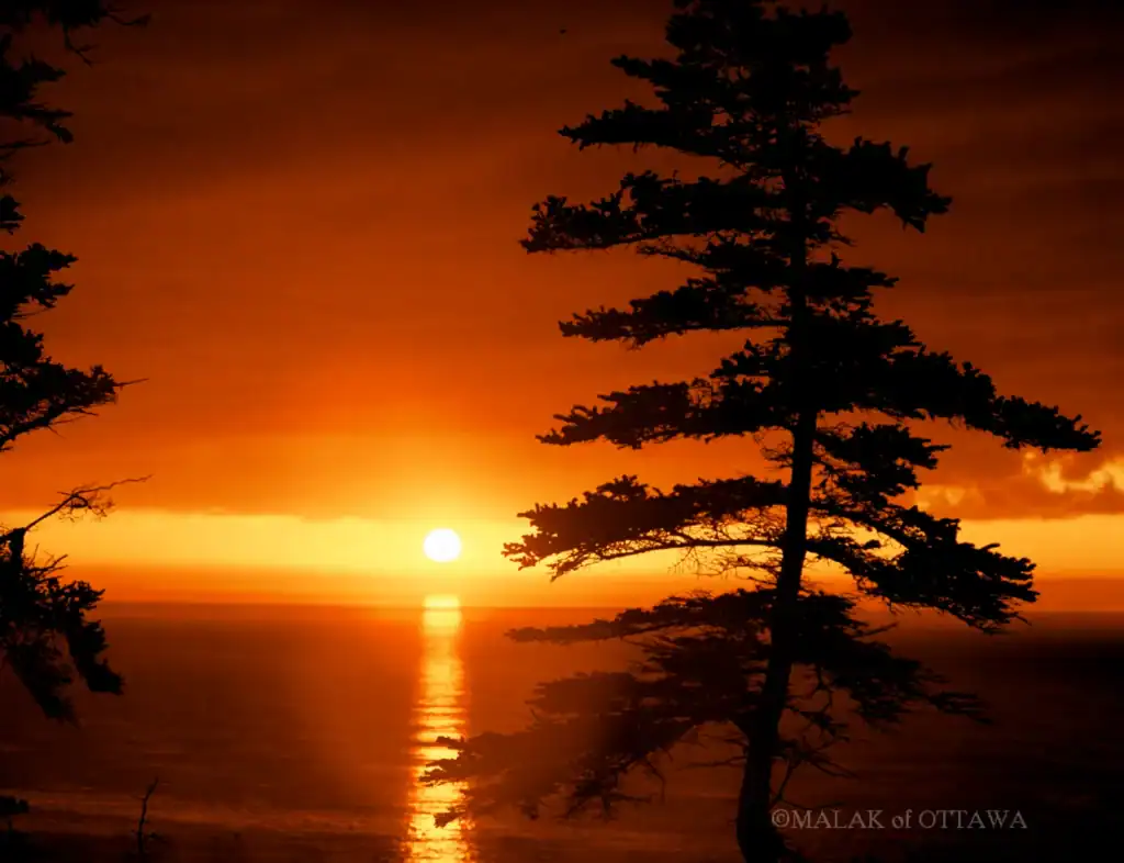 Sunset over Lake Ottawa with silhouetted trees, creating a peaceful and scenic view.
