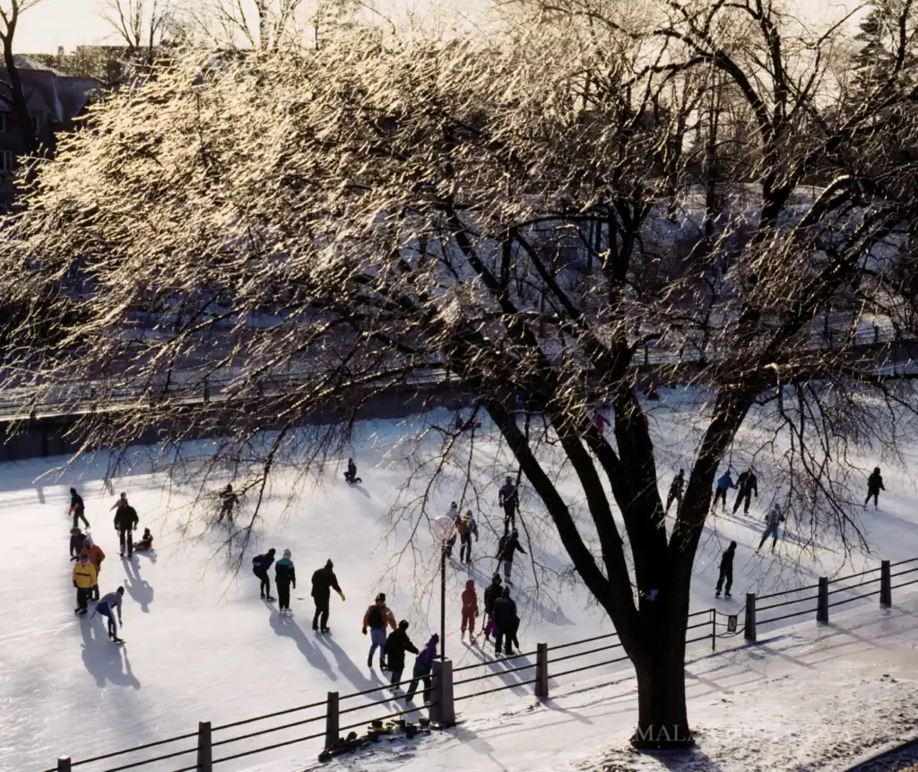Ice skating on a snowy outdoor rink with people enjoying winter activities.