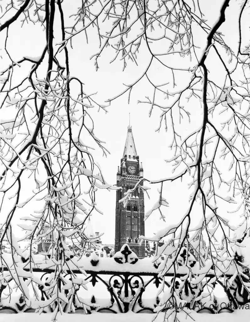 Snow-covered church tower in Ottawa framed by snow-laden tree branches.