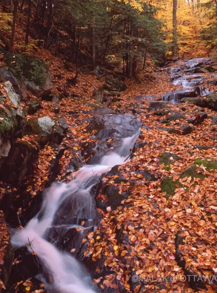 Autumn forest scene with flowing waterfall and colorful fall leaves in Ottawa.