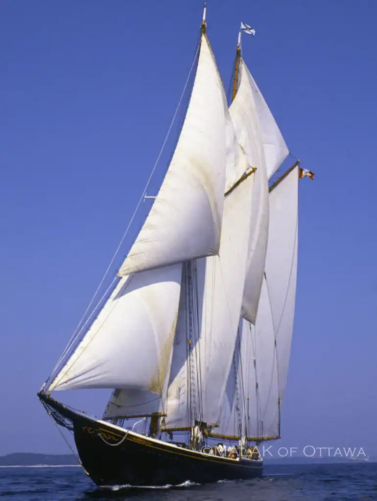 Sailing ship with white sails on blue ocean under clear sky.