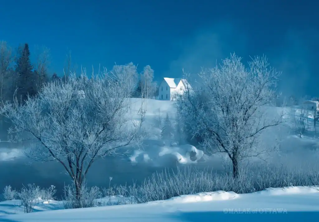 Winter landscape with snow-covered trees and a distant house in Ottawa, Canada.