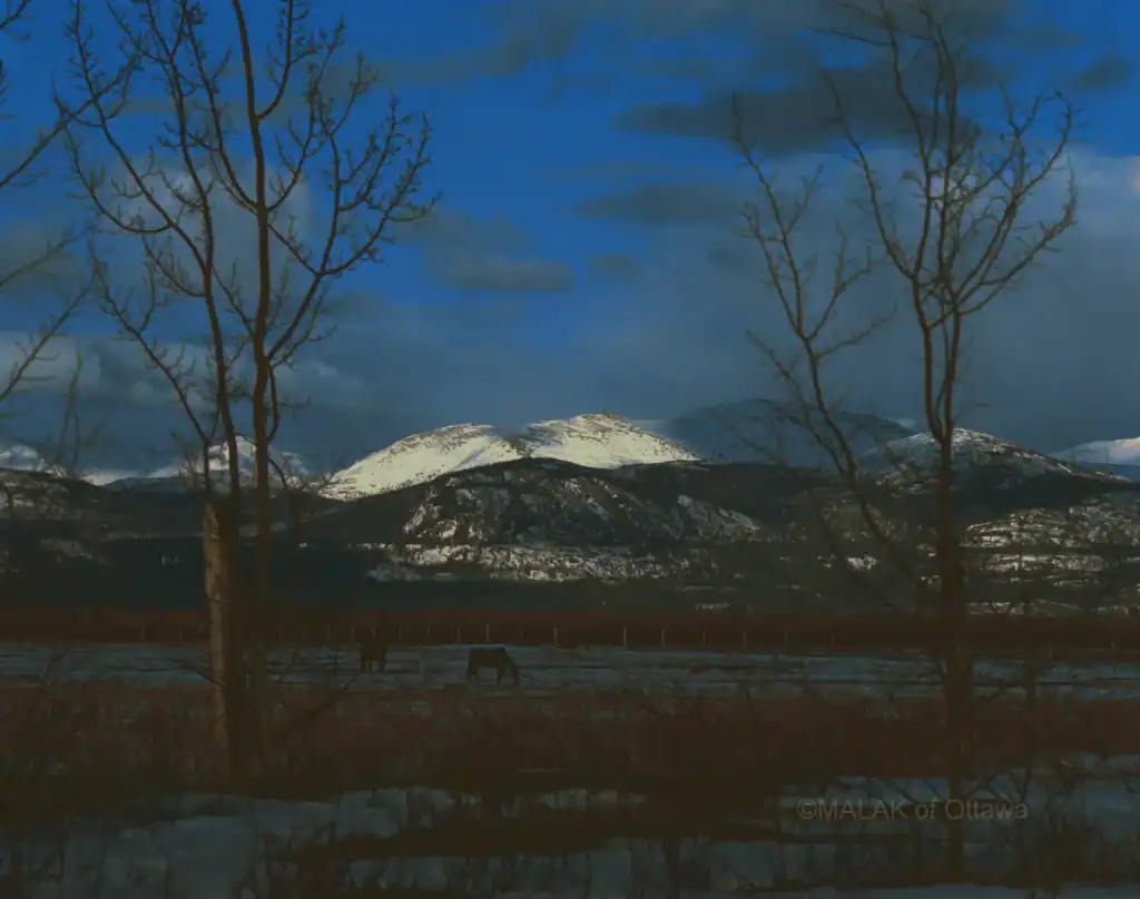 Mountain landscape with snow-capped peaks and leafless trees in the foreground.